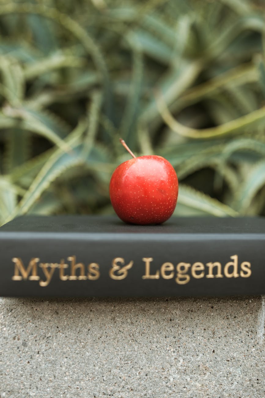 Debunking Common Lean Myths for&nbsp;Businesses